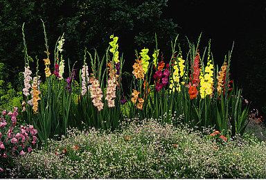 顽皮狗解释为何《神海》首次登陆PC为最新两部作品